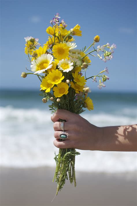 Flowers (Hand.